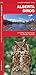 Alberta Birds, 2nd Ed (Nature Observation North America)