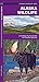 Alaska Wildlife (Nature Observation North America)