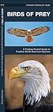 Birds of Prey: A Folding Pocket Guide to Familiar North American Raptors (Nature Observation North America)