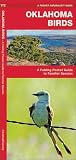 Oklahoma Birds: A Folding Pocket Guide to Familiar Species (Nature Observation North America)