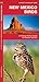 New Mexico Birds (Nature Observation North America)