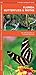 Florida Butterflies & Moths: A Folding Pocket Guide to Familiar Species (A Pocket Naturalist Guide)