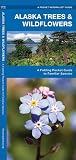 Alaska Trees & Wildflowers: A Folding Pocket Guide to Familiar Plants (Wildlife and Nature Identification)