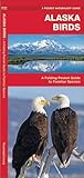 Alaska Birds: A Folding Pocket Guide to Familiar Species (Nature Observation North America)