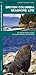 British Columbia Seashore Life: A Folding Pocket Guide to Familiar Plants and Animals (A Pocket Naturalist Guide)