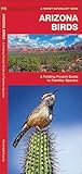 Arizona Birds