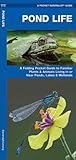 Pond Life, 2nd Ed (Nature Observation North America)