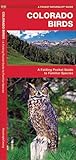 Colorado Birds: A Folding Pocket Guide to Familiar Species (Nature Observation North America)