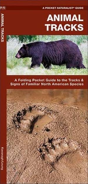Animal Tracks: A Folding Pocket Guide to the Tracks & Signs of Familiar North American Species (Wildlife and Nature Identification)