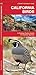 California Birds (Nature Observation North America)