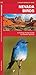 Nevada Birds (Nature Observ...