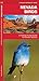 Nevada Birds (Nature Observation North America)