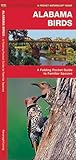 Alabama Birds (Nature Observation North America)