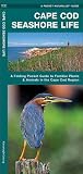 Cape Cod Seashore Life: A Folding Pocket Guide to Familiar Plants & Animals in the Cape Cod Region (Wildlife and Nature Identification)