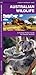 Australia Wildlife (Nature Observation International)