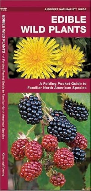 Edible Wild Plants: A Folding Pocket Guide to Familiar North American Species (Outdoor Skills and Preparedness)
