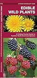 Edible Wild Plants: A Folding Pocket Guide to Familiar North American Species (Nature Observation North America)