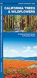 California Trees & Wildflowers: A Folding Pocket Guide to Familiar Plants (Nature Observation North America)