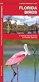 Florida Birds (Nature Observation North America)