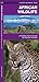 Africa Wildlife by James Kavanagh Waterford Press