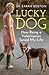 Lucky Dog: How Being a Vete...
