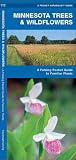 Minnesota Trees & Wildflowers: A Folding Pocket Guide to Familiar Plants (Wildlife and Nature Identification)