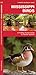 Mississippi Birds (Nature Observation North America)