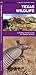 Texas Wildlife by James Kavanagh Waterford Press