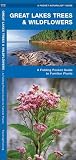 Great Lakes Trees & Wildflowers: A Folding Pocket Guide to Familiar Plants (Wildlife and Nature Identification)