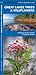 Great Lakes Trees & Wildflowers (Nature Observation North America)