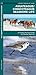Assateague/Chincoteague Seashore Life: A Folding Pocket Guide to Familiar Species (A Pocket Naturalist Guide)