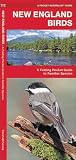 New England Birds by James Kavanagh Waterford Press