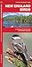 New England Birds by James Kavanagh Waterford Press