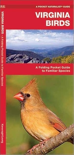 Virginia Birds: A Folding Pocket Guide to Familiar Species (Wildlife and Nature Identification)