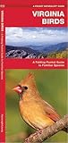 Virginia Birds: A Folding Pocket Guide to Familiar Species (Nature Observation North America)