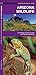 Arizona Wildlife (Nature Observation North America)