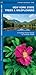 New York State Trees & Wildflowers (Nature Observation North America)