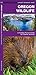 Oregon Wildlife (Nature Observation North America)