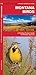 Montana Birds (Nature Observation North America)