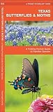 Texas Butterflies & Moths: An Introduction to Familiar Species (State Nature Guides)