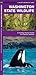 Washington State Wildlife (Nature Observation North America)