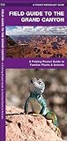 Grand Canyon, Field Guide to the: A Folding Pocket Guide to Familiar Plants and Animals