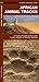 Africa Animal Tracks (Nature Observation International)