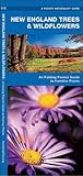 New England Trees & Wildflowers: A Folding Pocket Guide to Familiar Plants (Nature Observation North America)