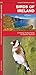 Ireland Birds: A Folding Pocket Guide to Familiar Species (A Pocket Naturalist Guide)