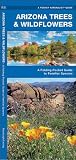 Arizona Trees & Wildflowers: A Folding Pocket Guide to Familiar Plants (Wildlife and Nature Identification)