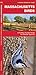 Massachusetts Birds (Nature Observation North America)