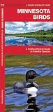 Minnesota Birds: A Folding Pocket Guide to Familiar Species (Nature Observation North America)