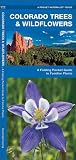Colorado Trees & Wildflowers: A Folding Pocket Guide to Familiar Plants (Wildlife and Nature Identification)