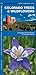 Colorado Trees & Wildflowers (Nature Observation North America)